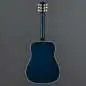 Gibson Miranda Lambert Bluebird