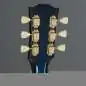 Gibson Miranda Lambert Bluebird