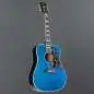 Gibson Miranda Lambert Bluebird