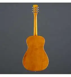 Epiphone Dobro Hound Dog Round Neck