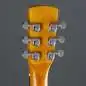 Epiphone Dobro Hound Dog Round Neck