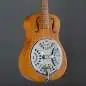 Epiphone Dobro Hound Dog Round Neck