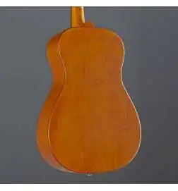Epiphone Dobro Hound Dog Round Neck