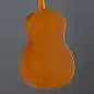 Epiphone Dobro Hound Dog Round Neck
