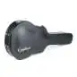 Epiphone Case 16" Archtop