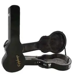 Epiphone Etui Wildkat