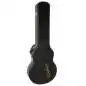 Epiphone Case Wildkat