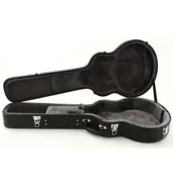 Epiphone Case Wildkat