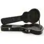 Epiphone Case Wildkat