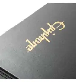 Epiphone Case Reverse Firebird