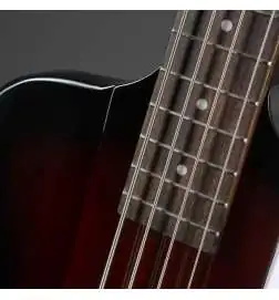 Epiphone Thunderbird IV VS Reverse Vintage Sunburst