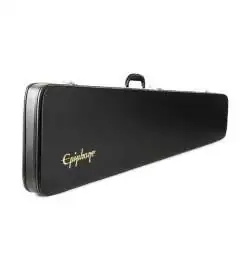 Epiphone case Thenerbird