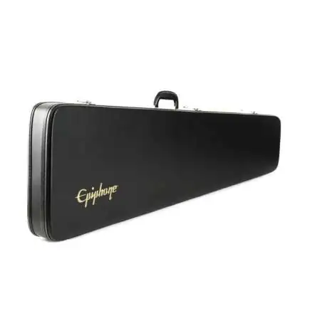 Epiphone case Thenerbird