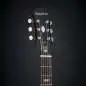 Epiphone Masterbilt Texan