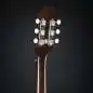 Epiphone Masterbilt Texan