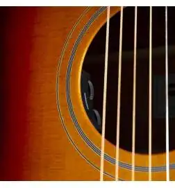 Epiphone Masterbilt Texan