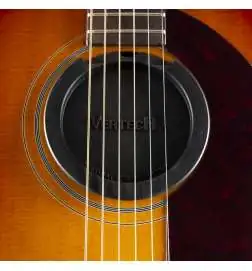 Epiphone Masterbilt Texan