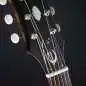Epiphone Masterbilt Texan