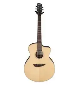 Ibanez PA300E-NSL