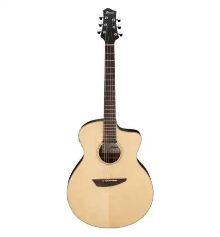 Ibanez PA300E-NSL
