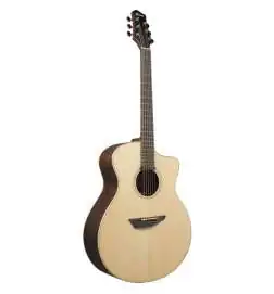 Ibanez PA300E-NSL