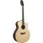 Ibanez PA300E-NSL