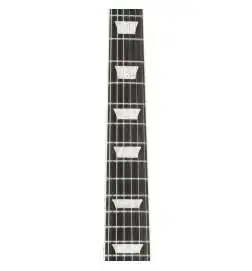 Gibson Les Paul Studio Session Translucent Ebony Burst