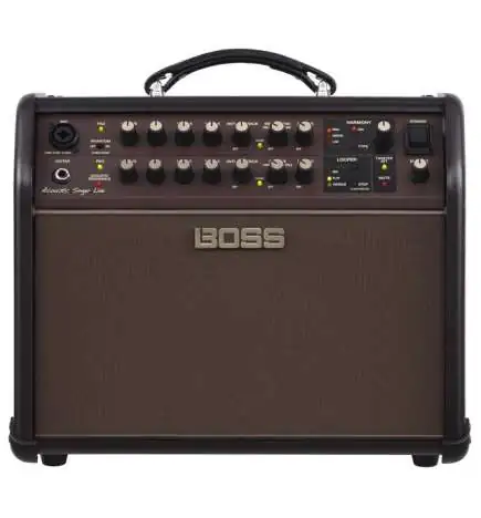 Boss Acoustic Singer Live