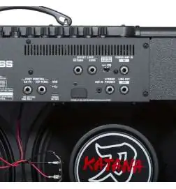 Boss Katana-100 212 Gen 3 Combo