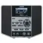 Boss JS-10 eBand