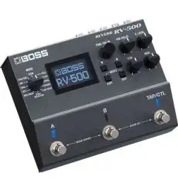 Boss RV-500