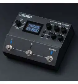 Boss RV-500