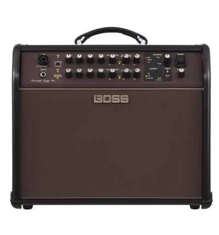 Boss Acoustic Singer Pro