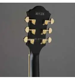 Ibanez Artcore AF75G-BKF Black Flat