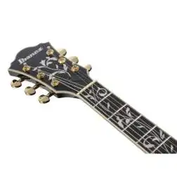 Ibanez Artcore Expressionist AS93SP-BK Black