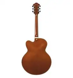 Ibanez Artcore Expressionist AF95-DA Divine Amber