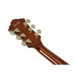 Ibanez Artcore Expressionist AF95-DA Divine Amber
