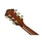 Ibanez Artcore Expressionist AF95-DA Divine Amber Ibanez Artcore Expressionist AF95-DA Divine Amber