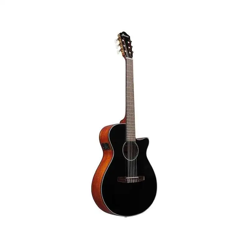 Ibanez AEG50N BK Nylon String