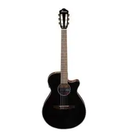 Ibanez AEG50N BK Nylon String
