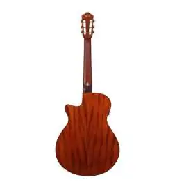 Ibanez AEG50N BK Nylon String