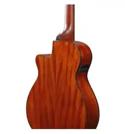 Ibanez AEG50N BK Nylon String