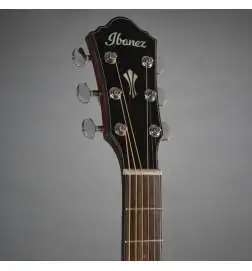Ibanez AEG50 DHH