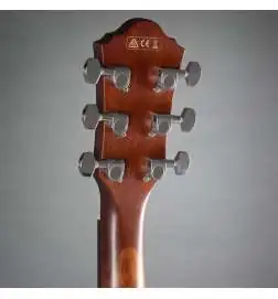 Ibanez AEG50 DHH