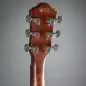 Ibanez AEG50 DHH Ibanez AEG50 DHH