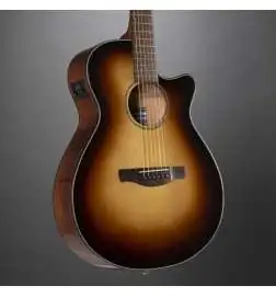 Ibanez AEG50 DHH