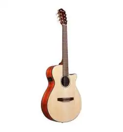 Ibanez AEG50N NT Nylon String
