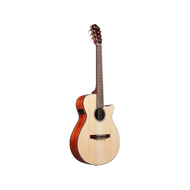 Ibanez AEG50N NT Nylon String