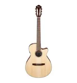 Ibanez AEG50N NT Nylon String