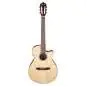 Ibanez AEG50N NT Nylon String
